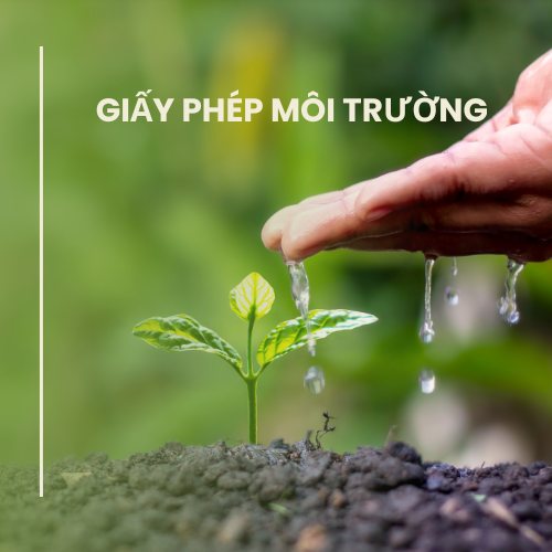컨설팅 및 환경 서류